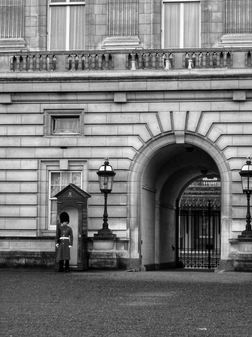 Free Iconic image of a Buckingham Palace guard in London, England. Historic architecture in monochrome. Stock Photo