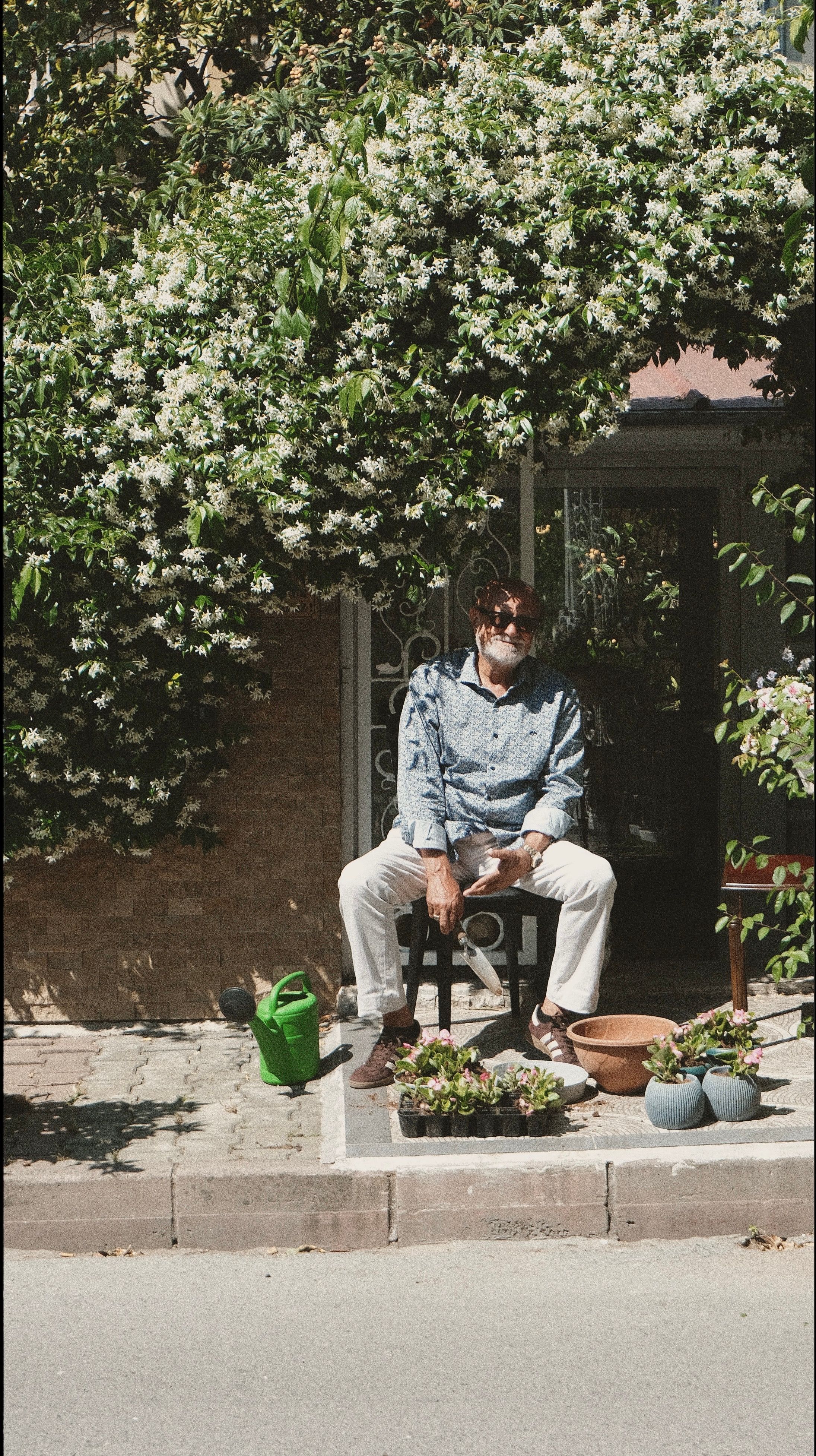 A man sitting outdoors in an urban garden surrounded by flowers and greenery.