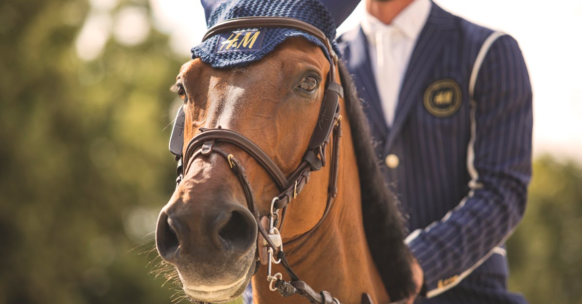 高鐵暑假推少年優惠 指定車次票價5折起超划算