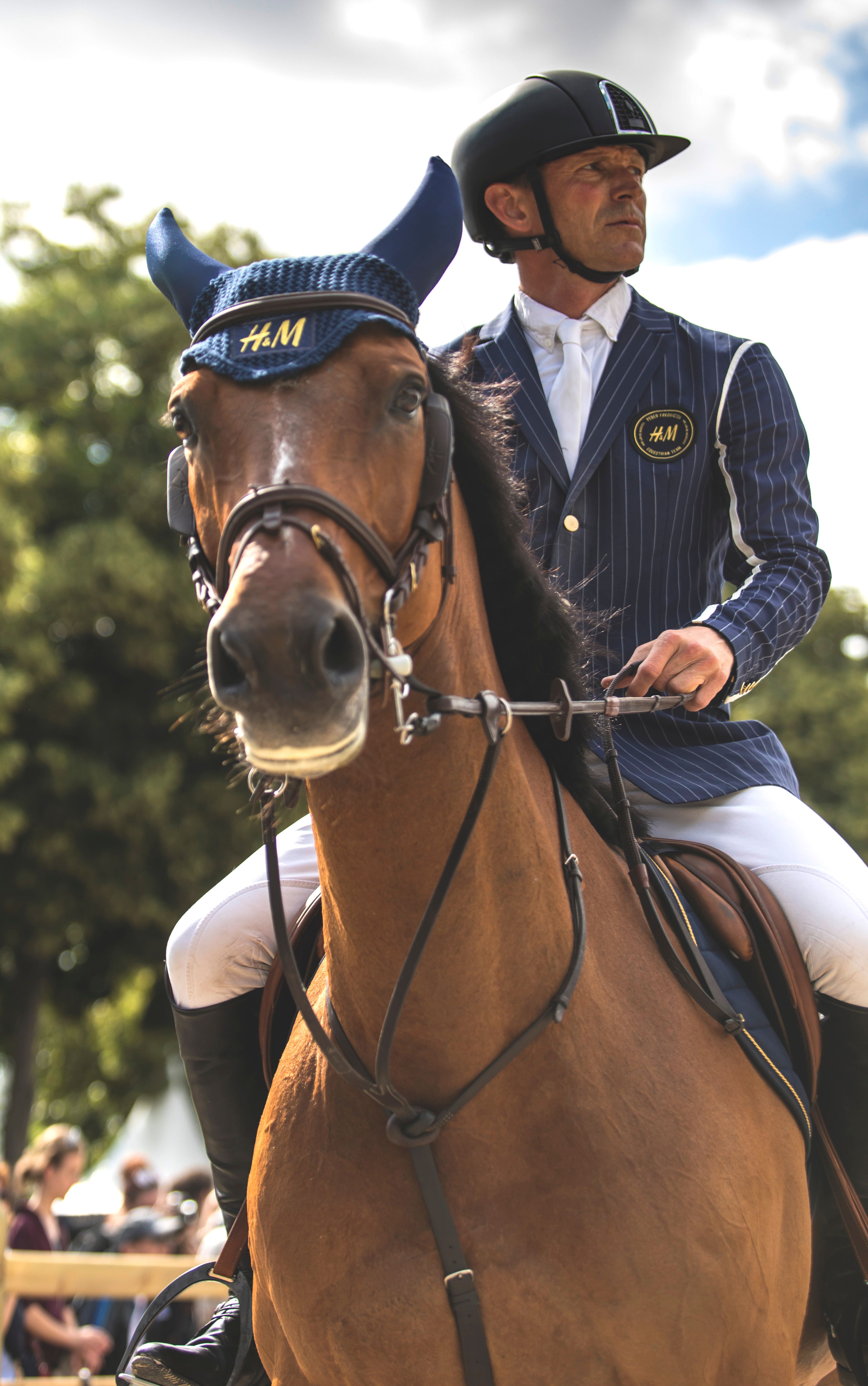 Elegant Equestrian Rider on Brown Horse · Free Stock Photo