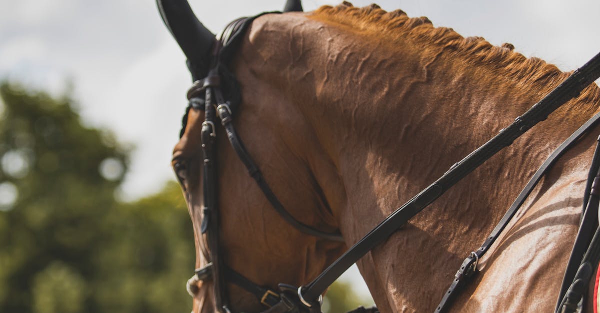 高鐵暑假推少年優惠 指定車次票價5折起超划算