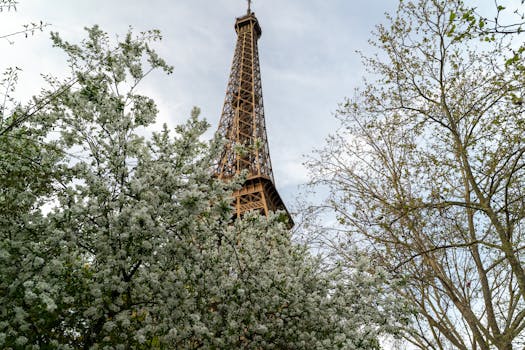 The Eiffel Tower surrounded by blooming trees in springtime, showcasing Paris's natural beauty.