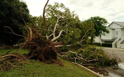 Bão đầu mùa hè ở Ontario và Quebec gây thiệt hại bảo hiểm 439 triệu đô