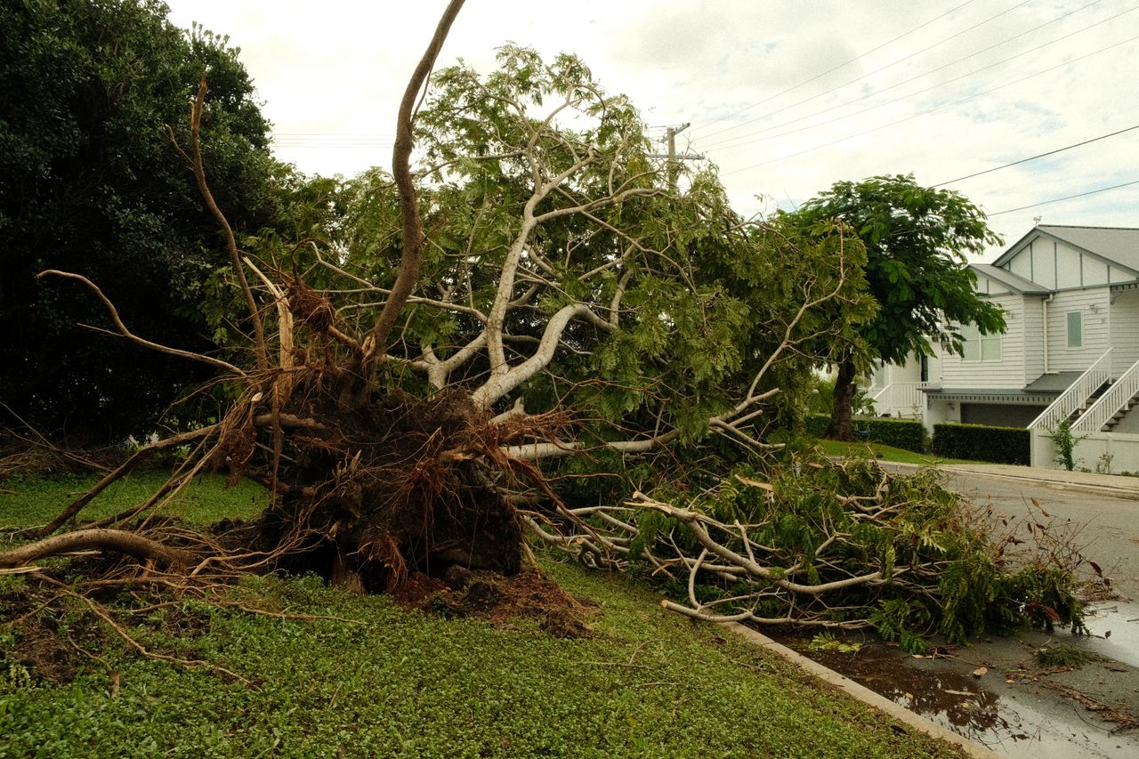 Deadly Storm Batters Russia's Smolensk Region