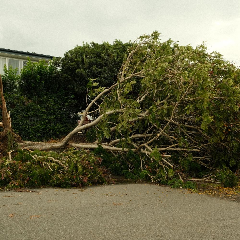 Cold Ash — house clearance team loading furniture into a van