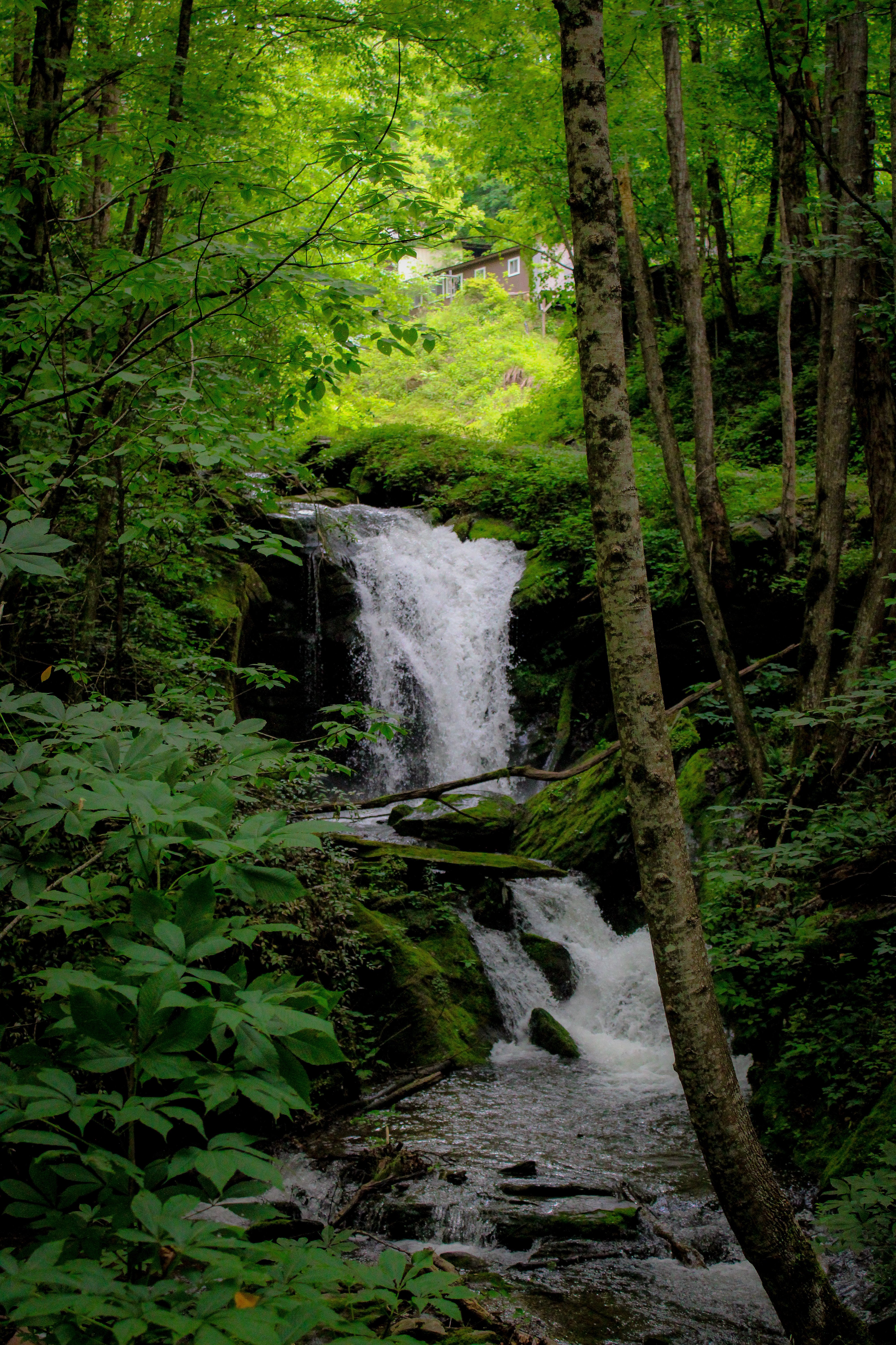 Banyu Wana Amertha Waterfall Hidden Gem in Munduk
