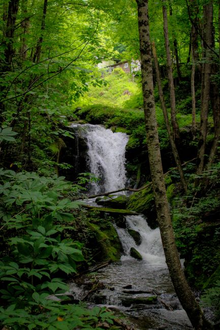 Banyu Wana Amertha Waterfall Hidden Gem in Munduk Banyu Wana Amertha Waterfall Hidden Gem in Munduk