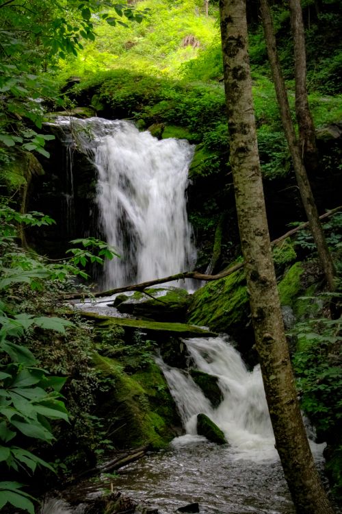 Free A stunning waterfall cascades in a tranquil forest, surrounded by vibrant green foliage. Stock Photo