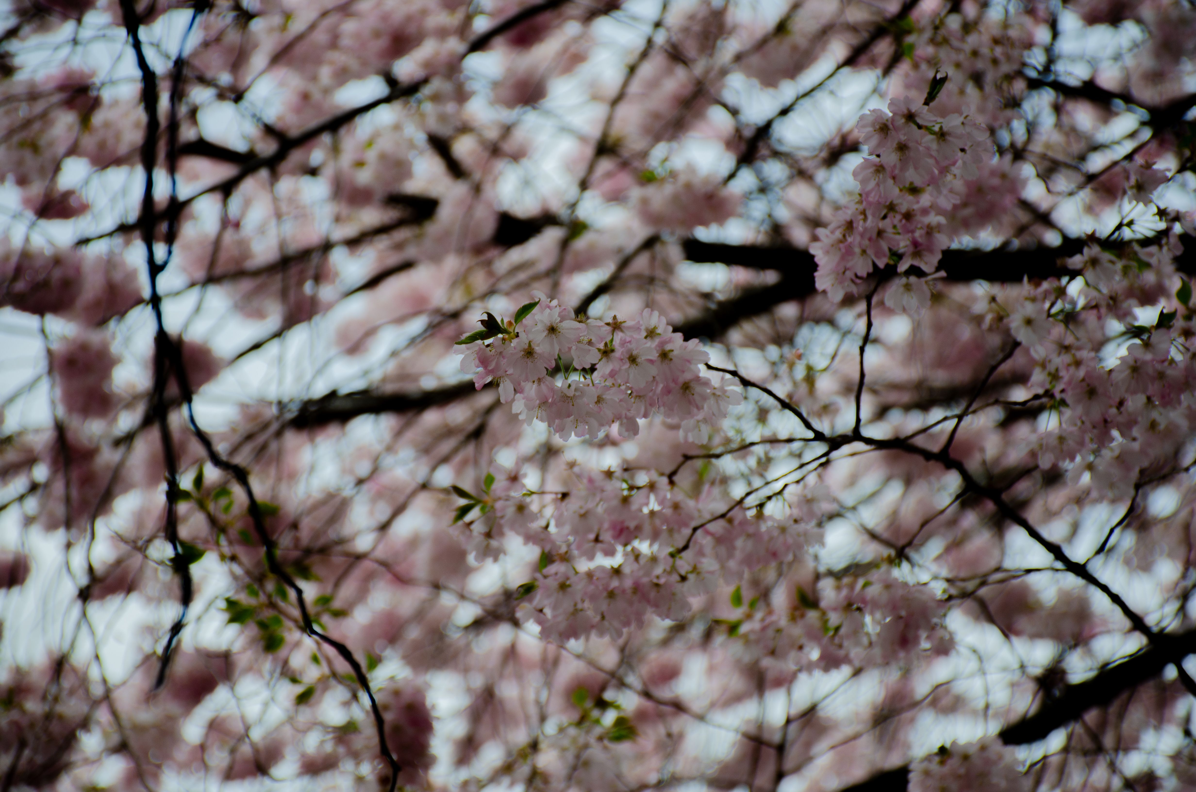 New York in April: What to Expect