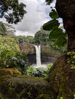 Photo by Dayna Moyer Breathtaking view of Rainbow Falls cascading amidst vibrant jungle foliage in Hawaii.