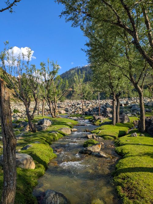 Free Serene forest stream meandering through lush greenery and rocks under a clear blue sky. Stock Photo