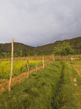 Scenic countryside landscape with fields, mountains, and a cloudy sky, perfect for nature themes.