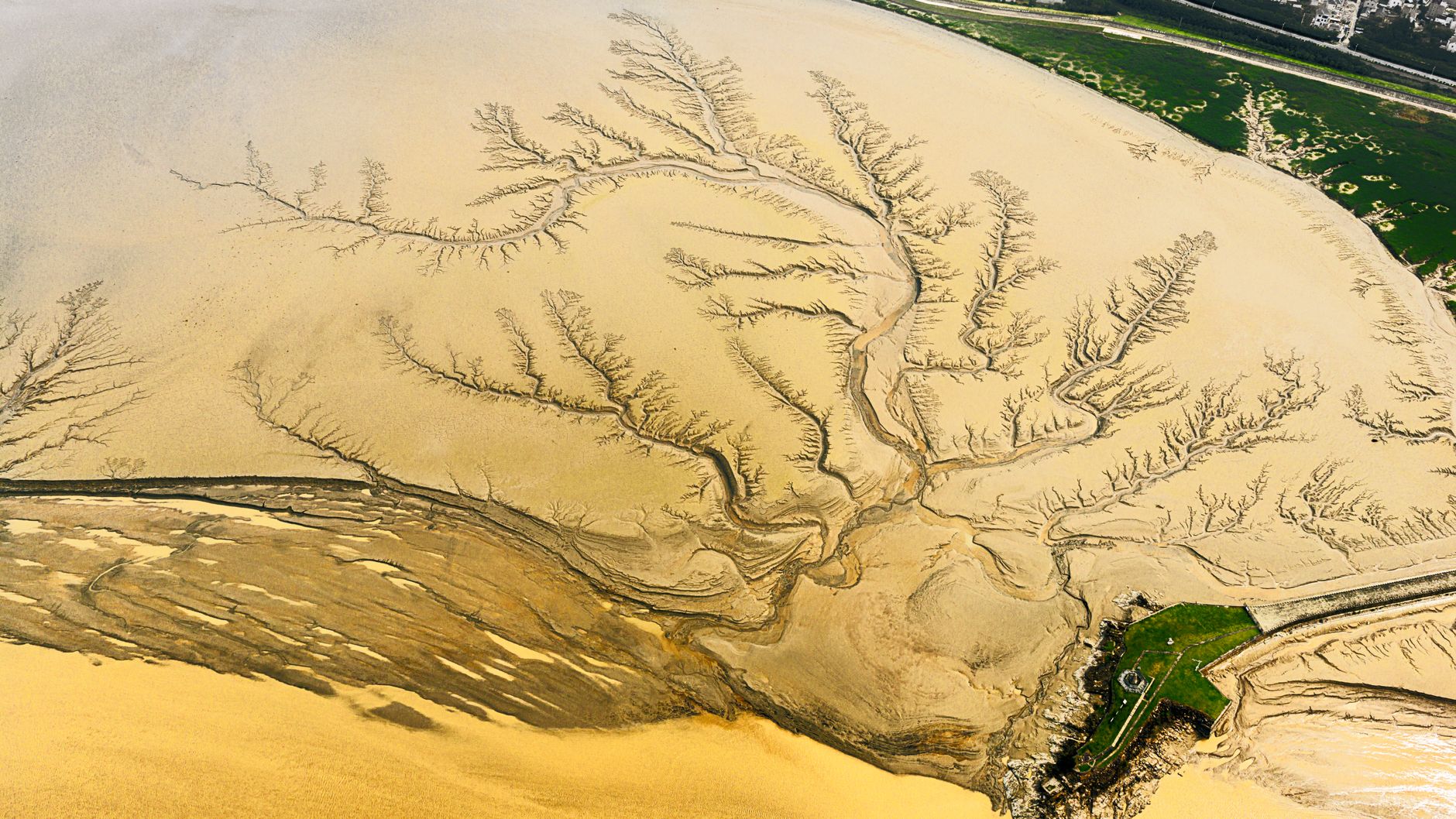 Stunning aerial view of a river delta showing intricate branching patterns and natural beauty.