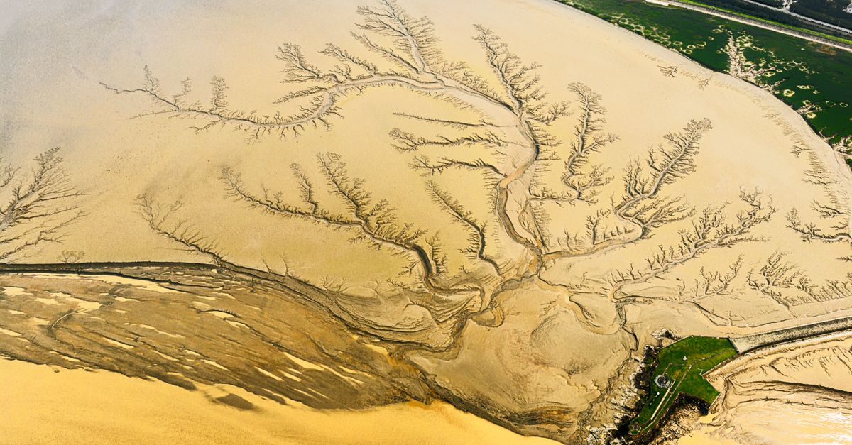An aerial view of a river delta with multiple independent channels converging, representing genuine confluence