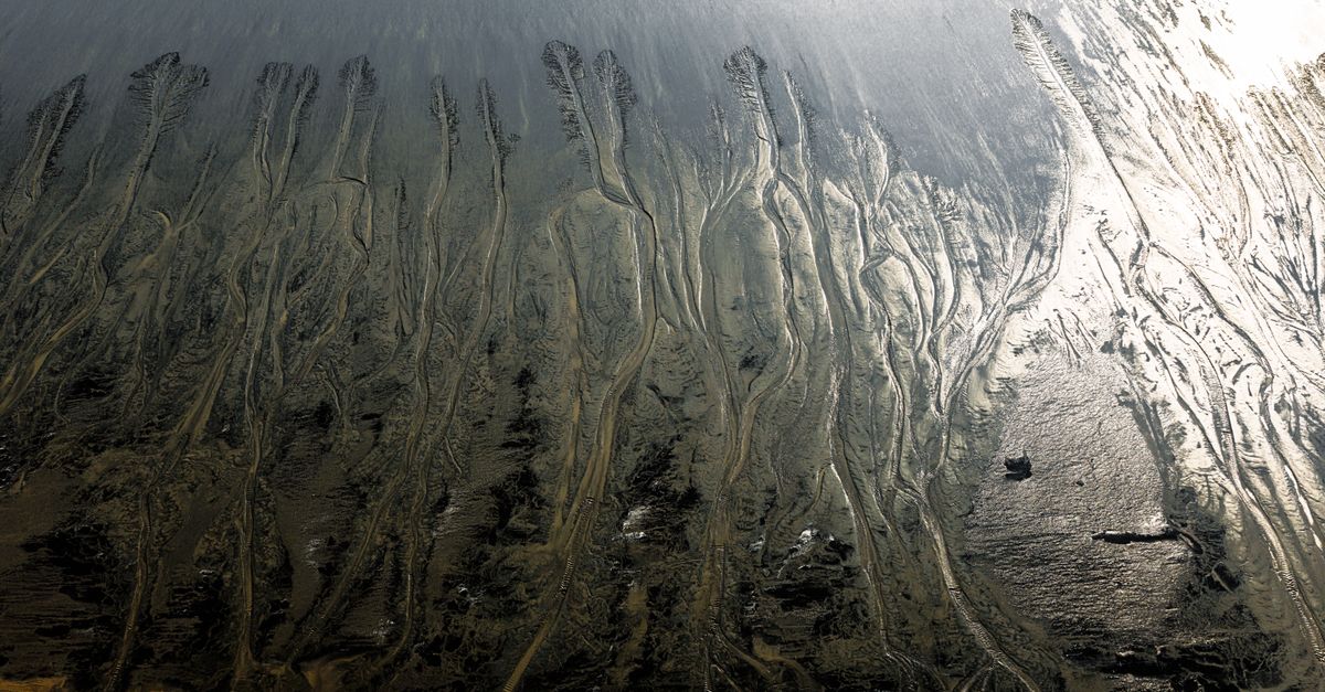 Mudflat Ripple Aerial View of Tidal Mudflats with Intricate Patterns · Free Stock Photo