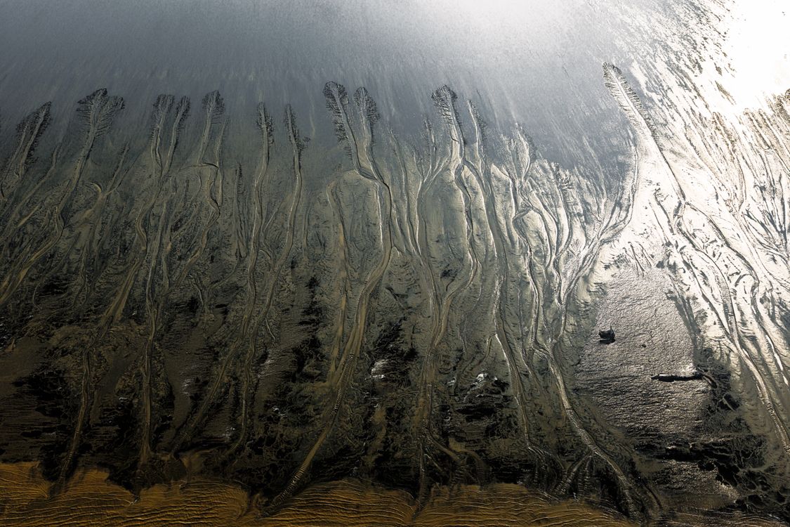 Aerial View of Tidal Mudflats with Intricate Patterns · Free Stock Photo