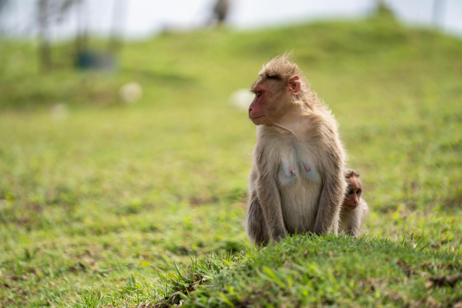 Watercherrypie+Uncensored Photos, Download The BEST Free Watercherrypie