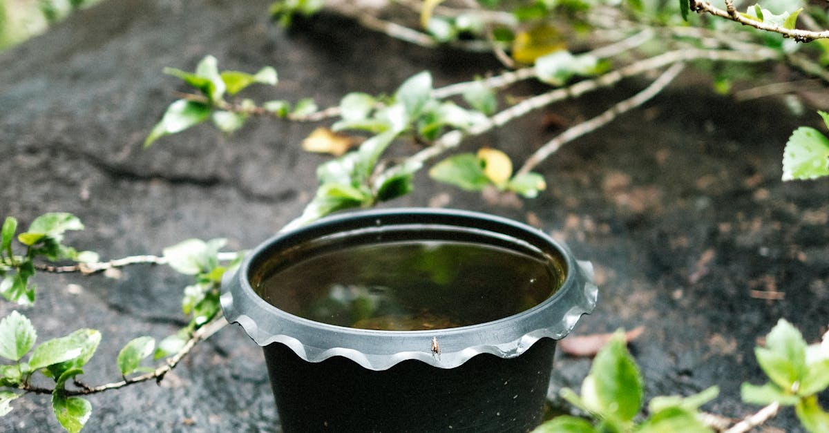 世界環境日台南響應終結塑膠汙染 啟動無塑生活接力賽