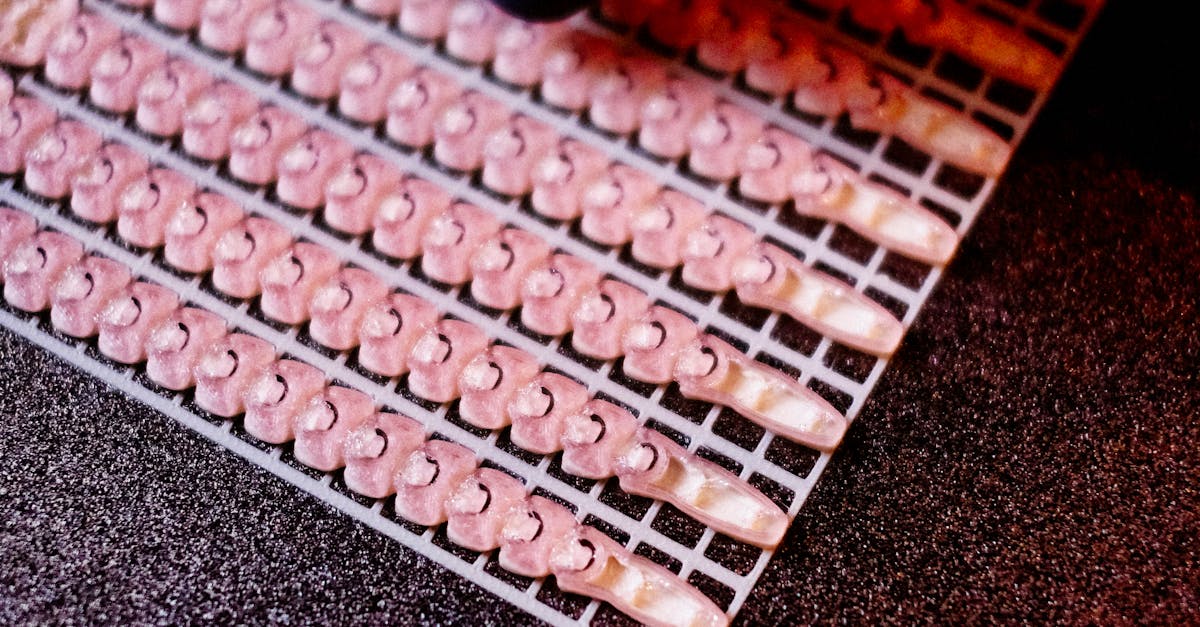 剛剛好的生活美學 石頭科技新品Qrevo CurvX打造清潔與美感兼具生活體驗