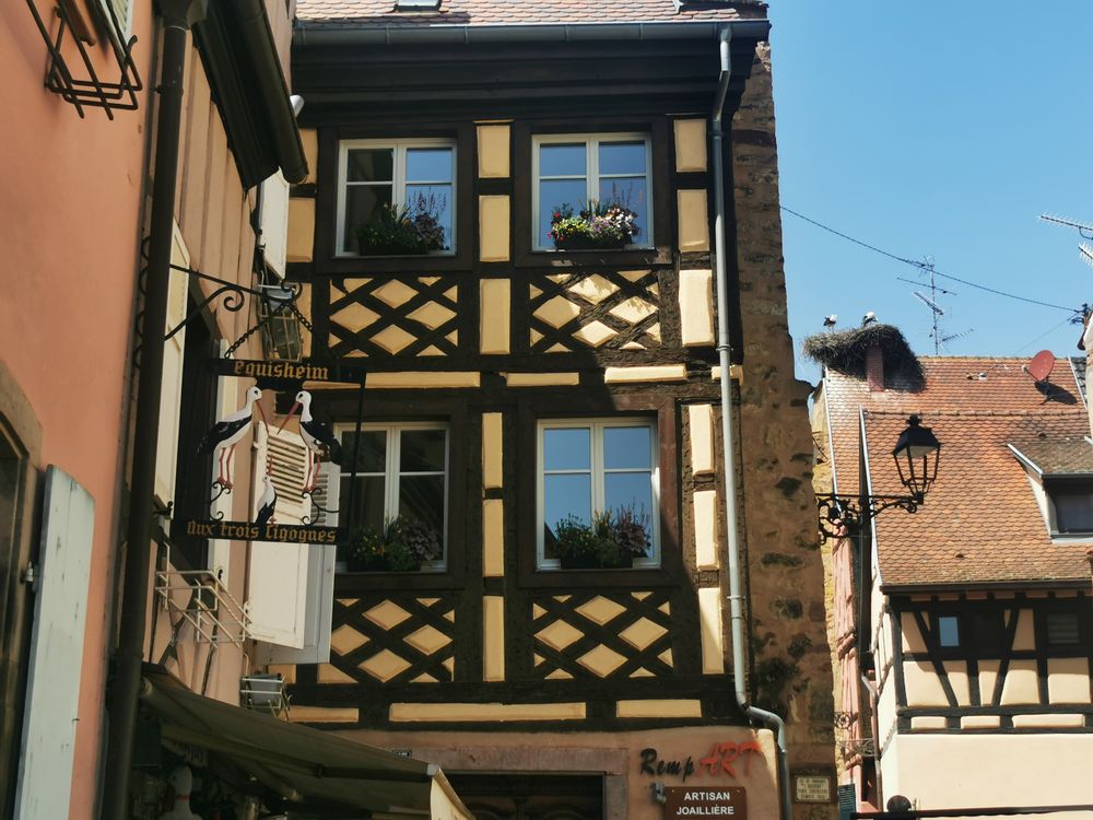 Case colorate din lemn cu cuiburi de berze în satul Eguisheim, Alsacia