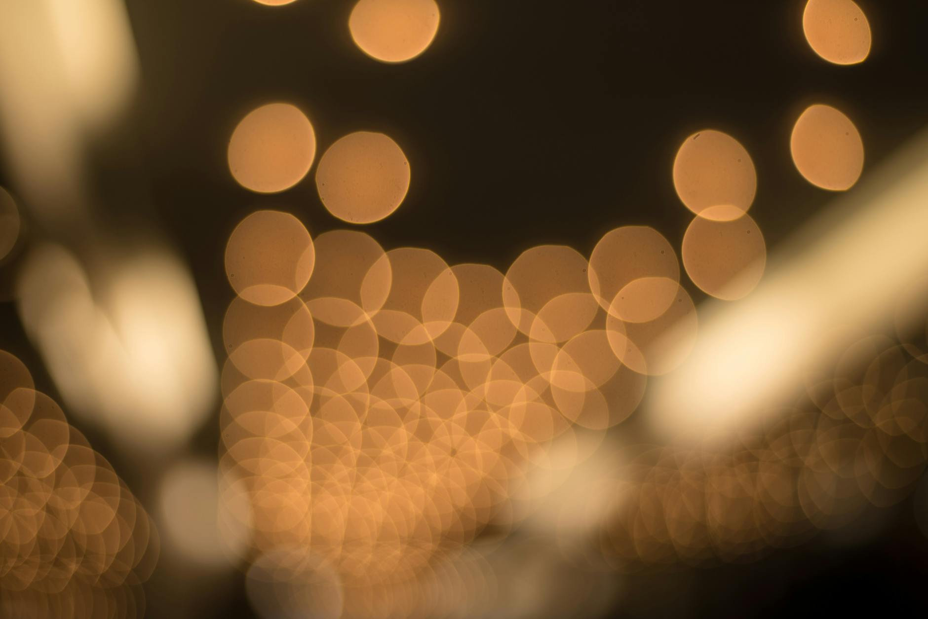 臺北市立動物園互動與無障礙設施