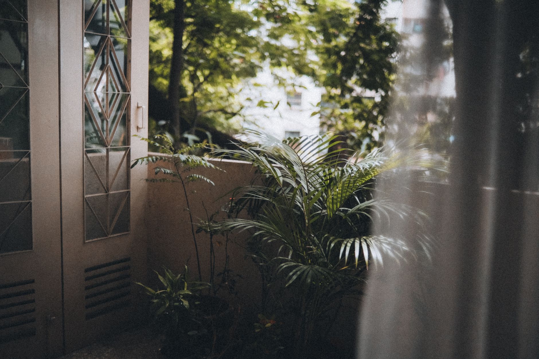 Small apartment balcony garden — Dicas da Vovó