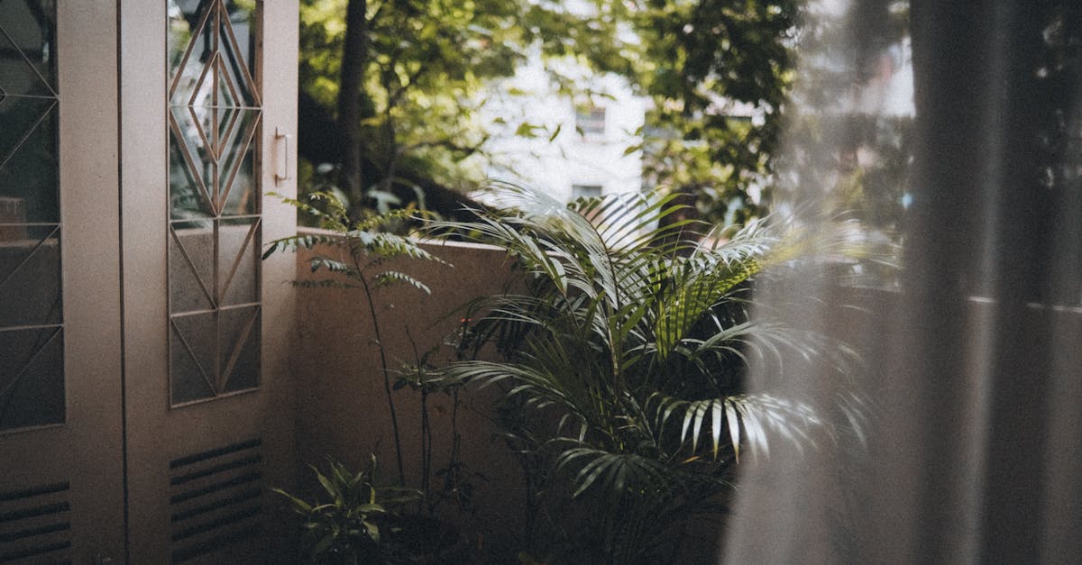 Les meilleurs accessoires pour optimiser vos jardins de balcon