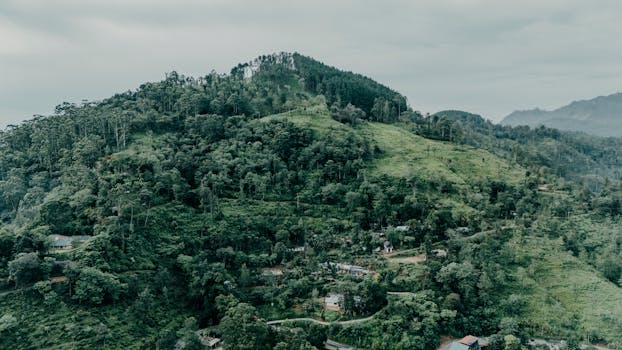 Drone shot showcasing lush green hills and dense forests in Sri Lanka.
