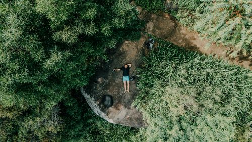 Free Aerial photo of a person lying on a rock surrounded by lush Sri Lankan jungle. Stock Photo