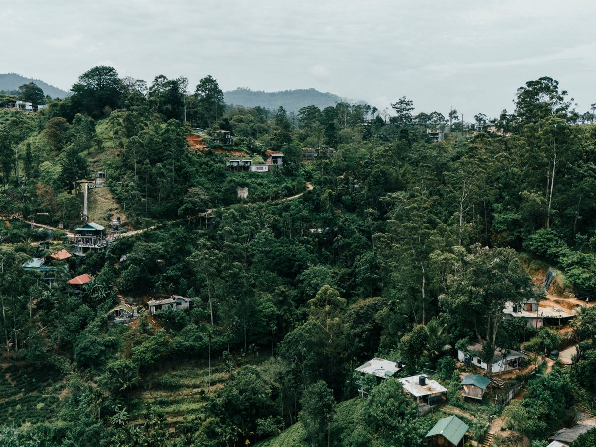 14 Day Weight Loss & Yoga Retreat in Nature, Sri Lanka 3