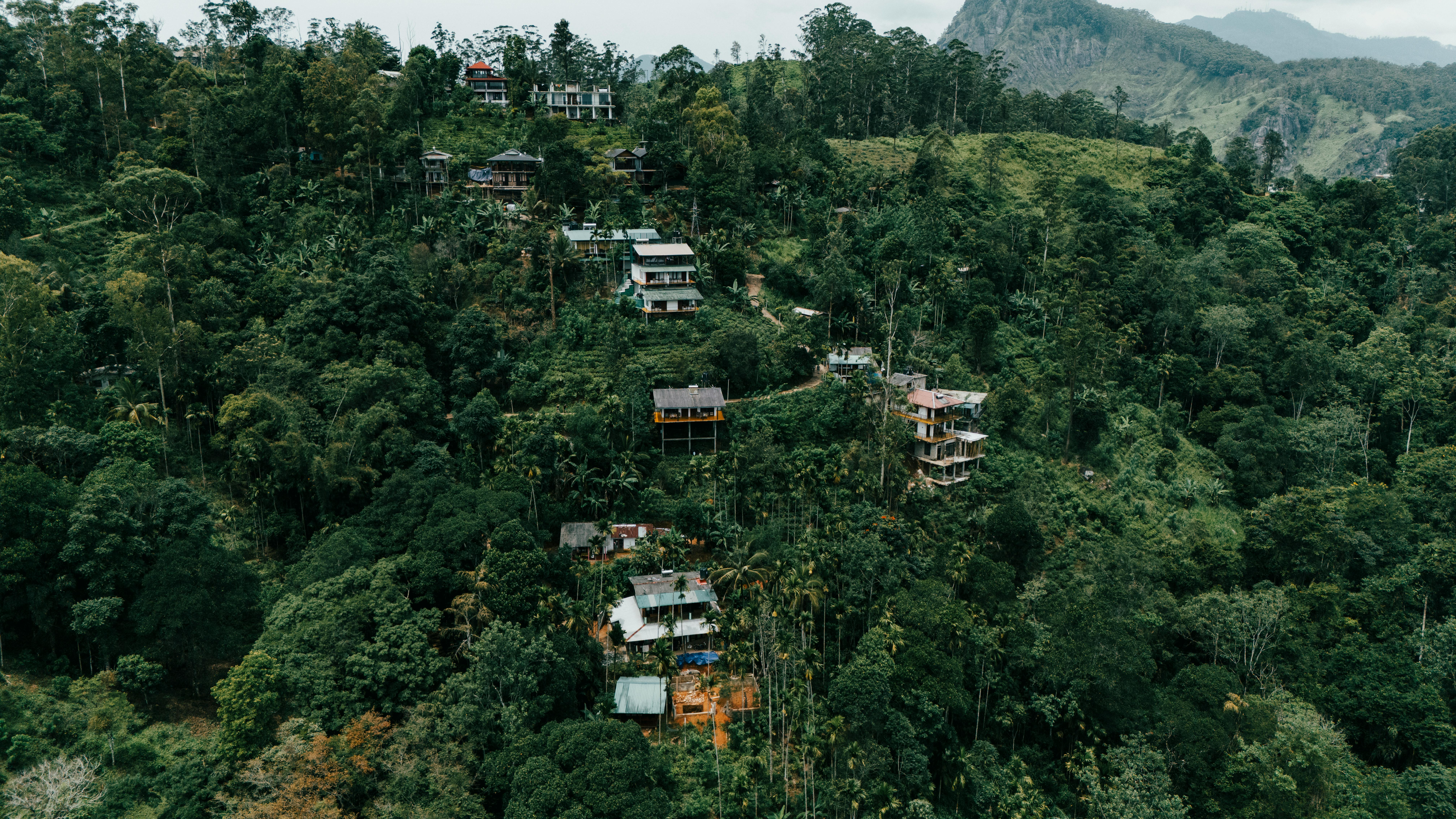 Yowie Group lodges updated ASX corporate governance statement — Photo by Eslam Mohammed Abdelmaksoud on Pexels