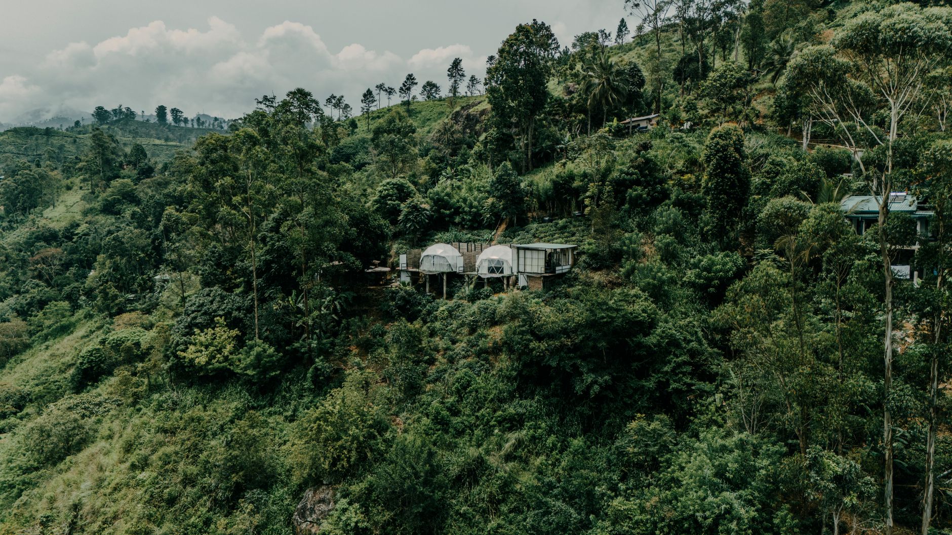 Explore the lush greenery and serene atmosphere of the Sri Lankan mountains with this breathtaking aerial view. Related image for Sustainability: What Is Changing Across Global Hospitality.