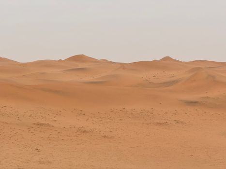 Riyadh, Saudi Arabia photo 17