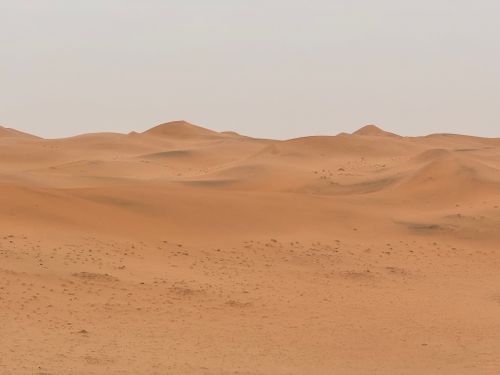 Free A vast and tranquil desert landscape with rolling sand dunes in Riyadh, Saudi Arabia. Stock Photo