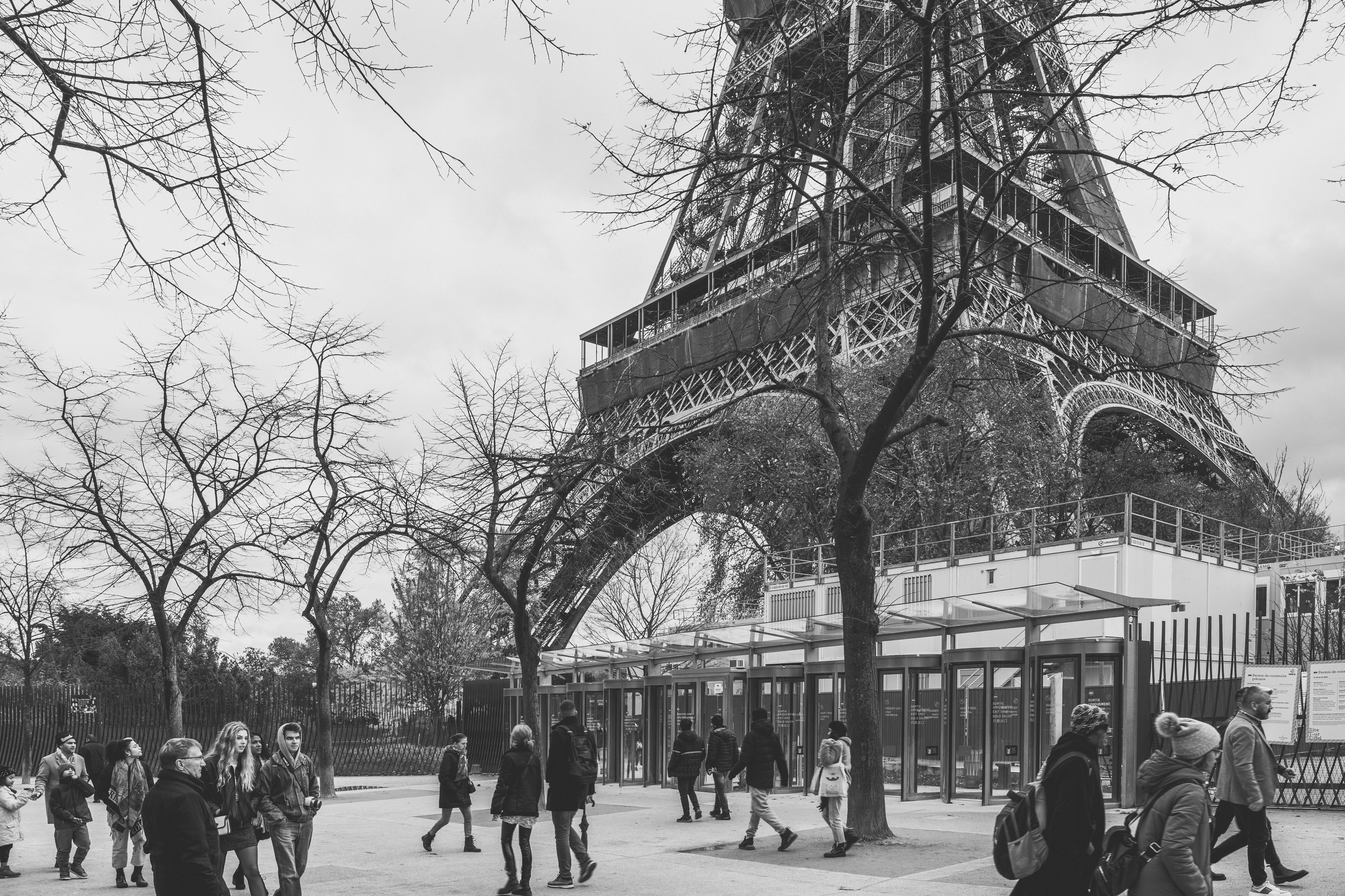 2,000+ Best Chatango+b Photos · 100% Free Download · Pexels Stock Photos