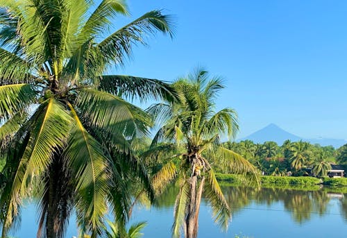 Foto profissional grátis de água preta, escuintla, guatemala