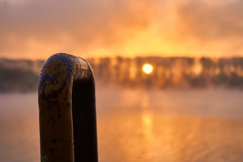 Gratis stockfoto met atmosfeer, bomen, Bos