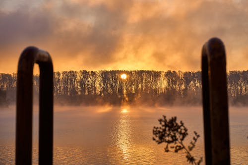 Gratis stockfoto met atmosfeer, bomen, Bos