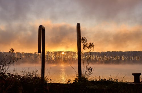 Gratis stockfoto met atmosfeer, bomen, Bos