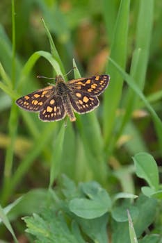 Image by Michal Petráš