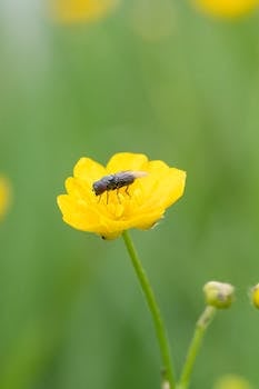 Image by Michal Petráš