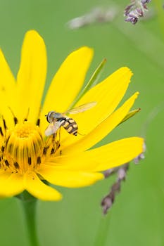 Image by Michal Petráš