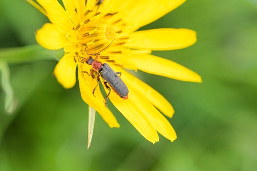 Image by Michal Petráš