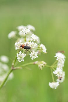 Image by Michal Petráš