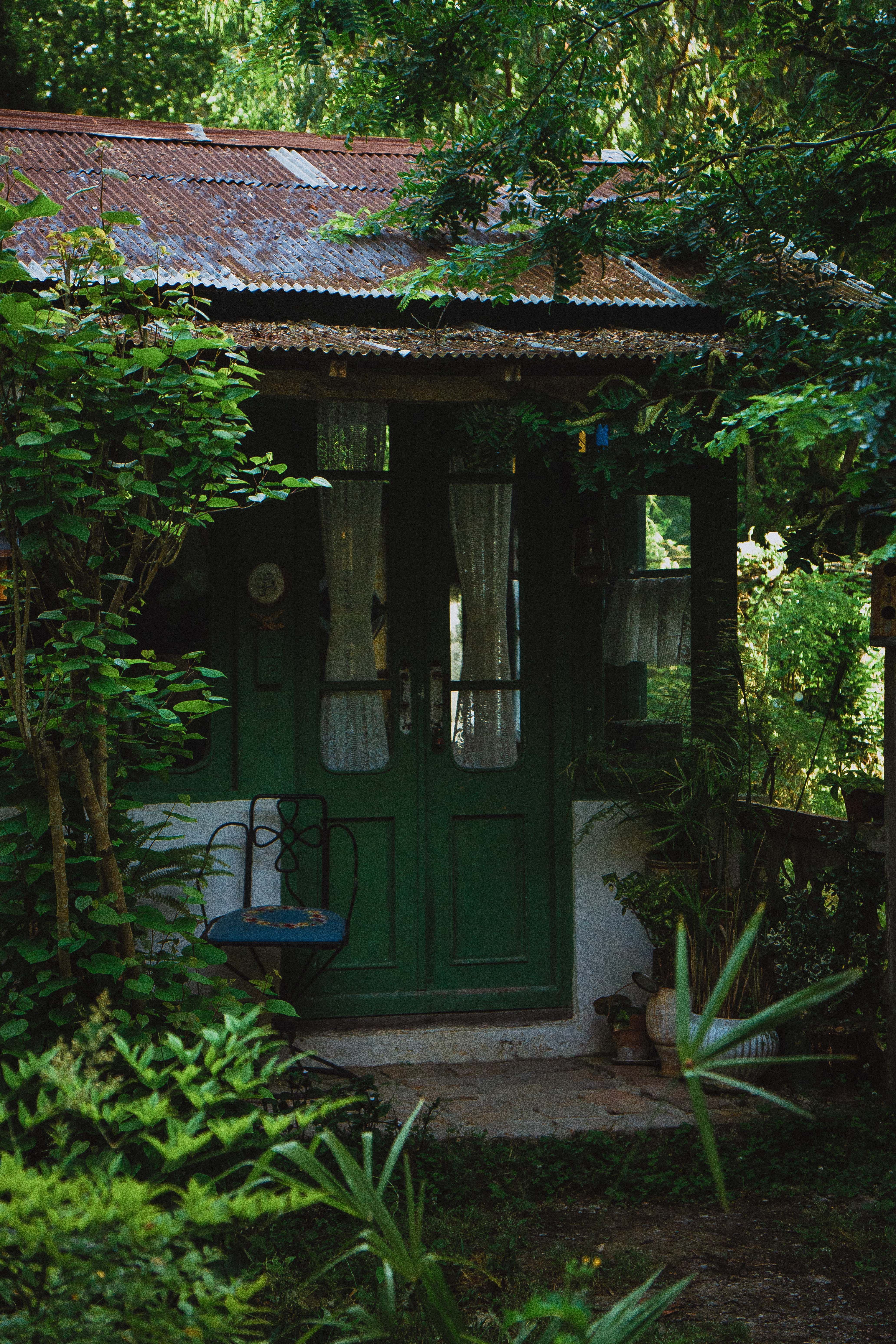 A welcoming cottage door framed by dense tropical foliage.
