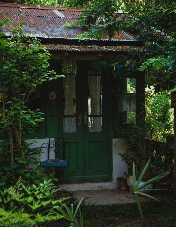 A welcoming cottage door framed by dense tropical foliage.