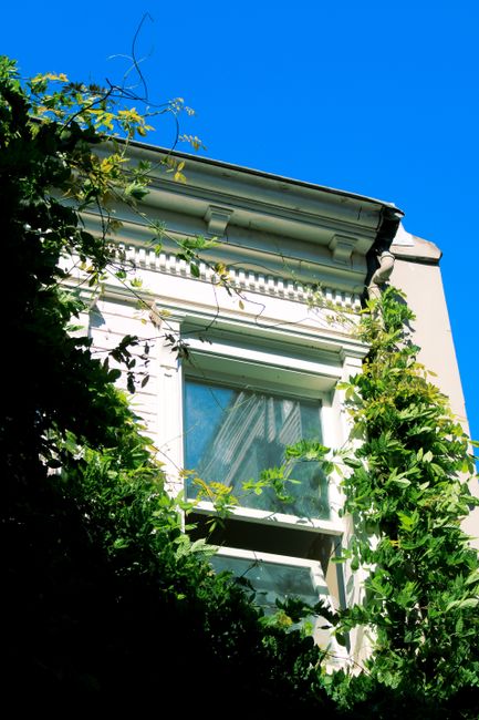 Elegant building facade covered with lush green ivy under a clear blue sky.