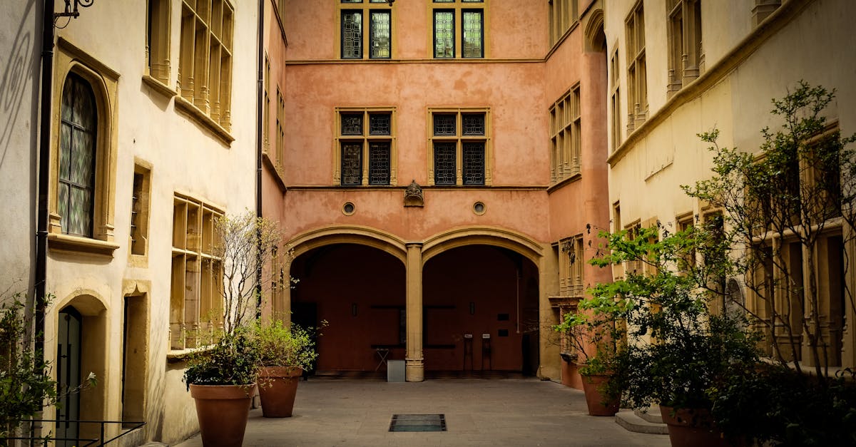 The Blooming Wait 1 image text