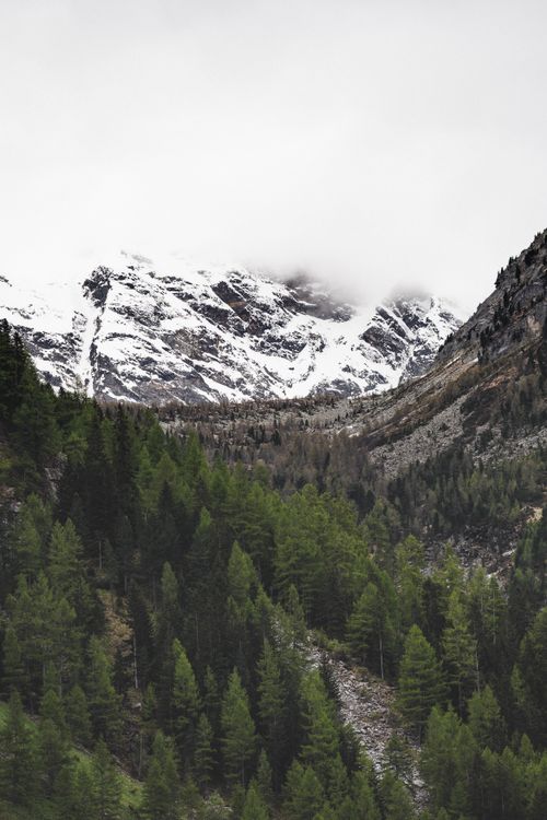 Free Breathtaking view of snow-capped mountains and lush forest in the Alps, perfect for nature and travel enthusiasts. Stock Photo