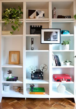 Contemporary bookshelf featuring vintage decor items, books, and greenery for a stylish home interior.